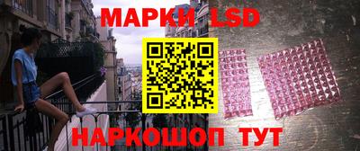 дмт Краснодар