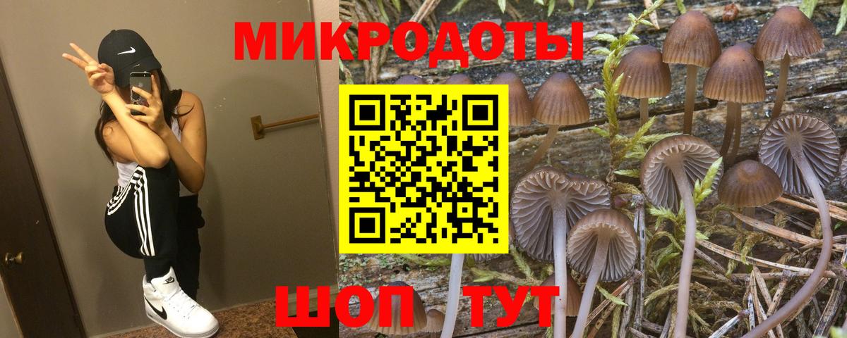 Котлас  Галлюциногенные грибы мицелий  Вход с VPN  дарнет шоп  Галлюциногенные грибы Psilocybe 